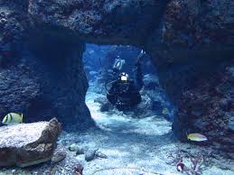 Denver Aquarium under sea caves