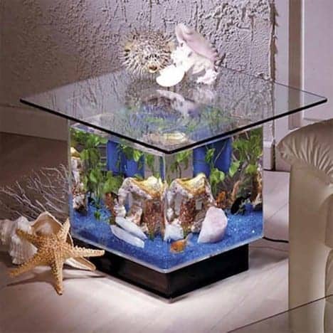 ● The aquarium end table