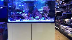 125 gallon aquarium
