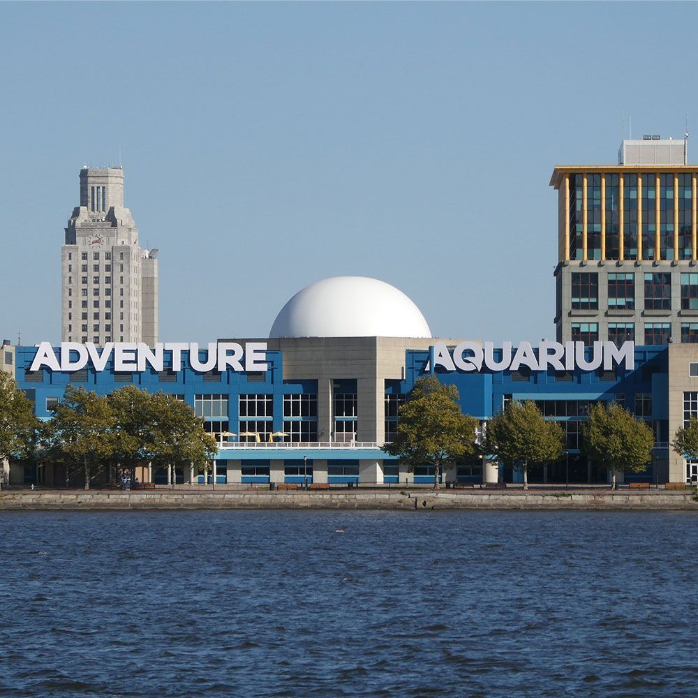 Adventure aquarium entrance