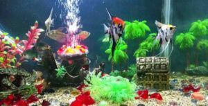 Cool aquarium decorations