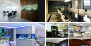 Benefits of an aquarium in home and office