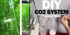 CO2 Aquarium Kits