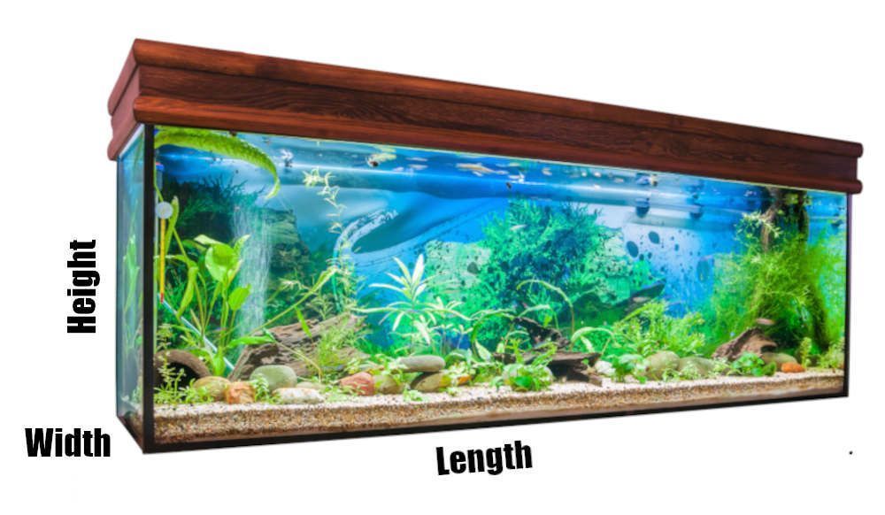 Graphics explaining length, width and height of a fish tank