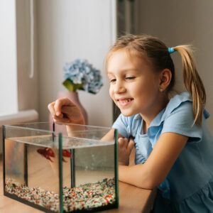 A girl watching a goldfish in a DIY aquarium