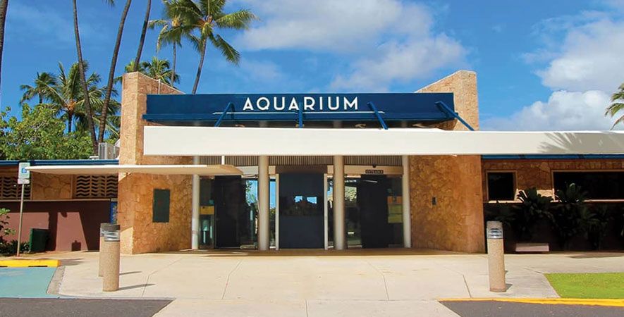 Waikiki Aquarium, Honolulu